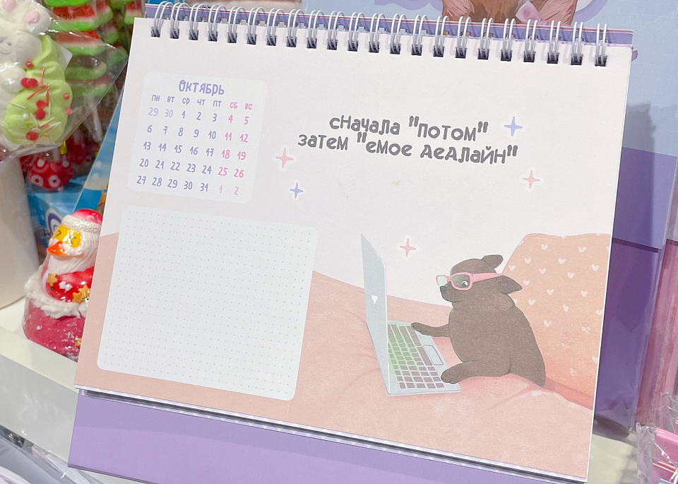 Магазин ZAKKA в ТРЦ «Седьмое небо» Нижний Новгород